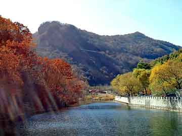 新澳天天开奖资料大全旅游团，晴纶价格